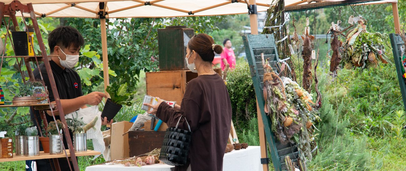 slider_image12